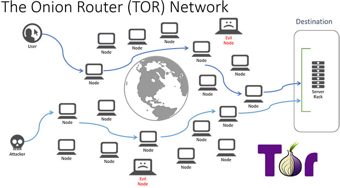 does the tor browser work hydraruzxpnew4af
